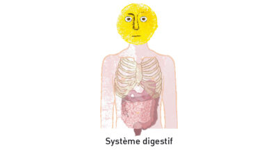 Emotions - illustration système digestif