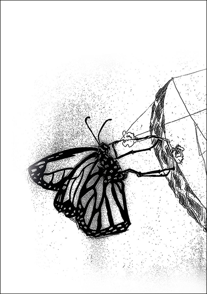 Papillon - disparition